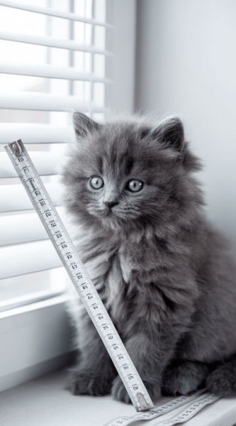 Горизонтальные жалюзи Купить жалюзи