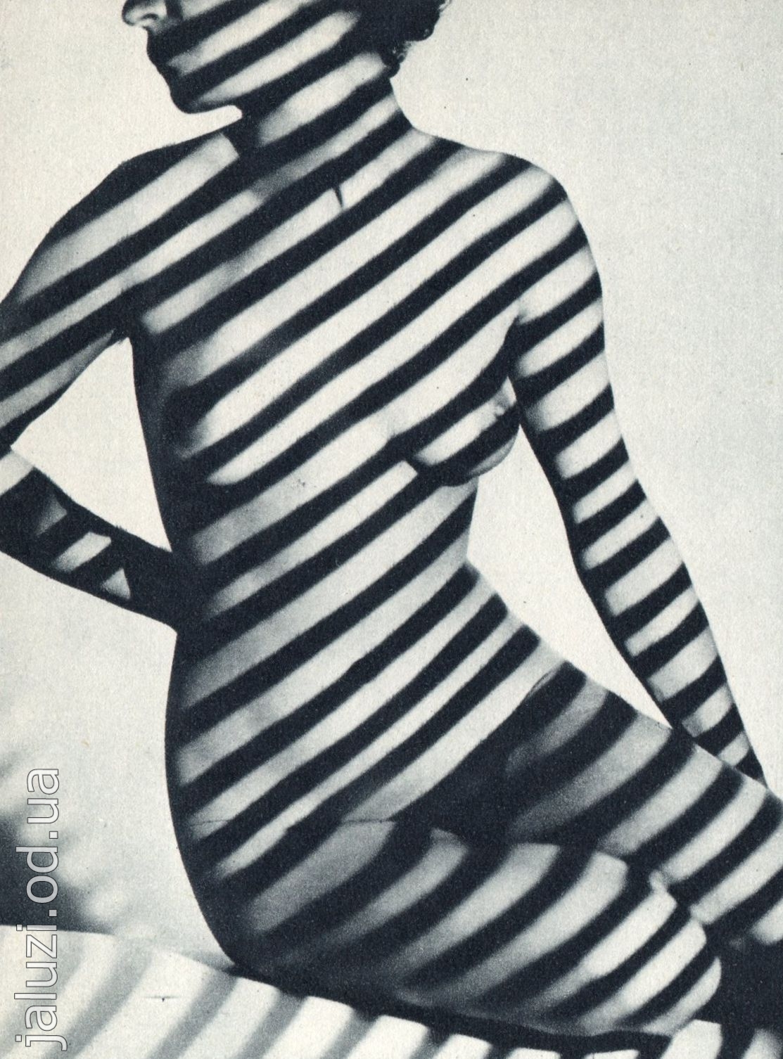 Смугасті вигини 1952 Смугасті вигини