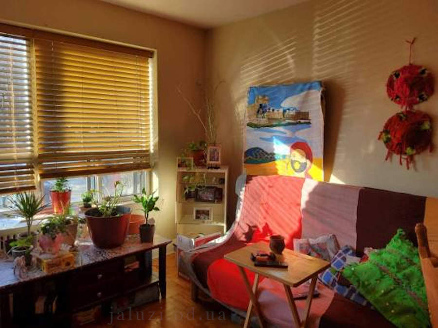 Жалюзі у інтер'єрі приміщень 4 Жалюзі у рекламі