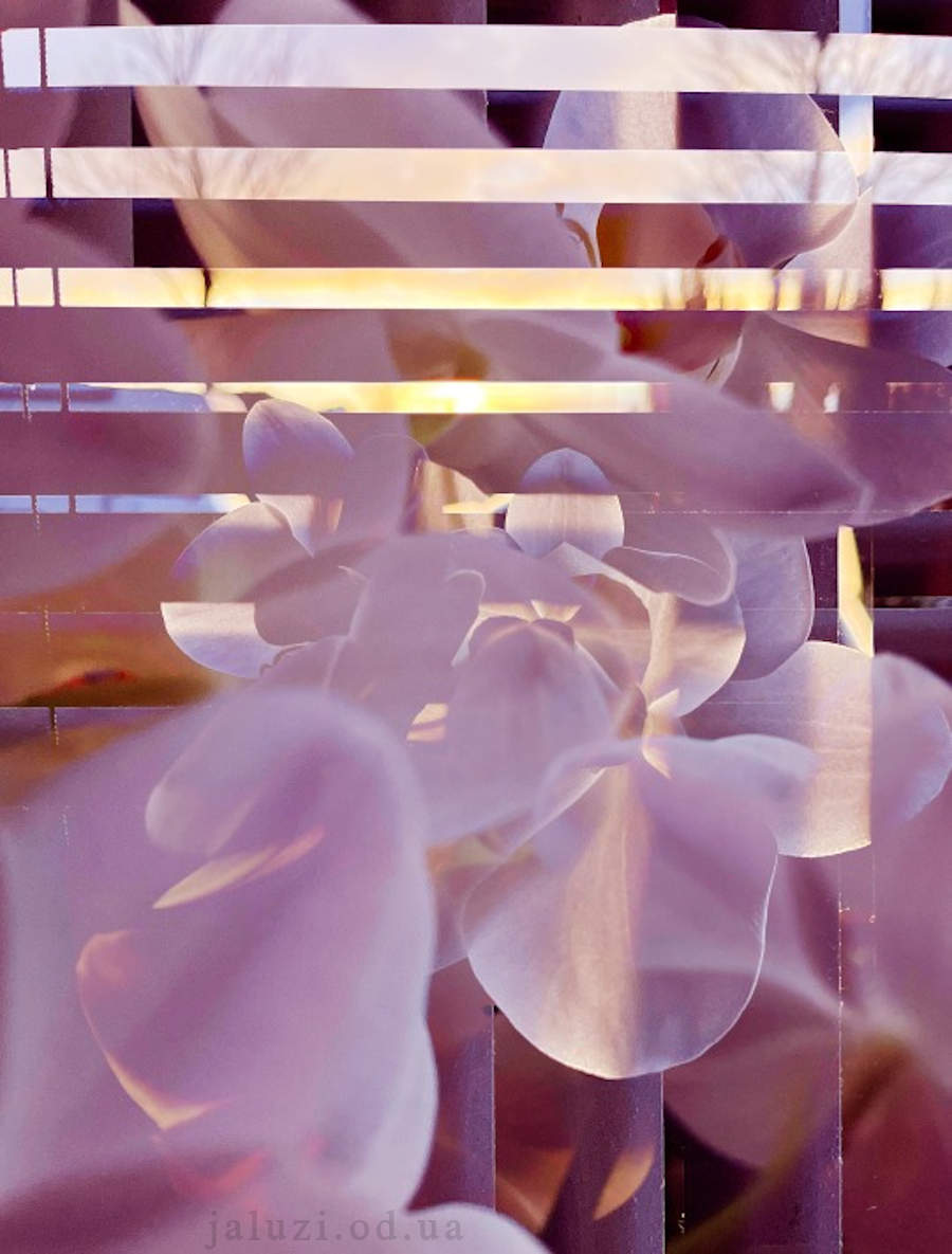 Неприкаяні 1961 Жалюзі у рекламі